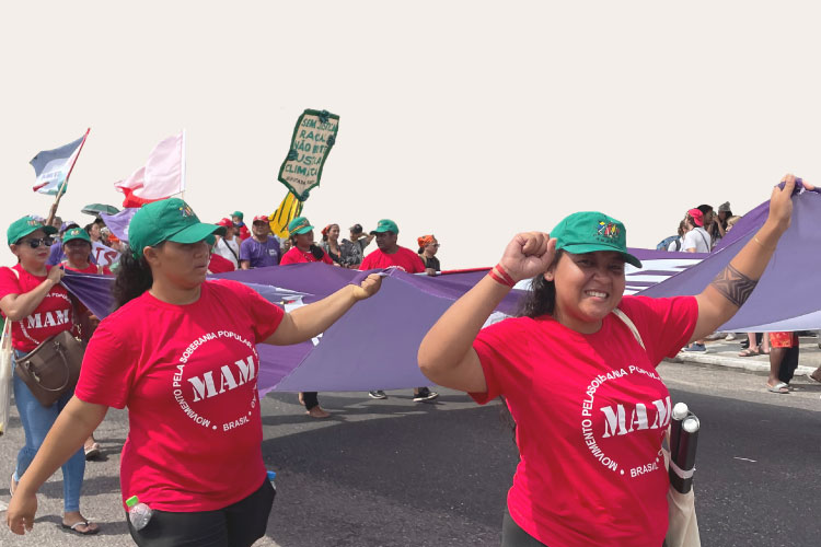 Voices from Brazil in the face of the green transition